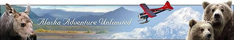 Join our Alaska tours enjoying wildlife to glaciers, flightseeing to rafting - no lines, just fun! Alaskan tours at their best!